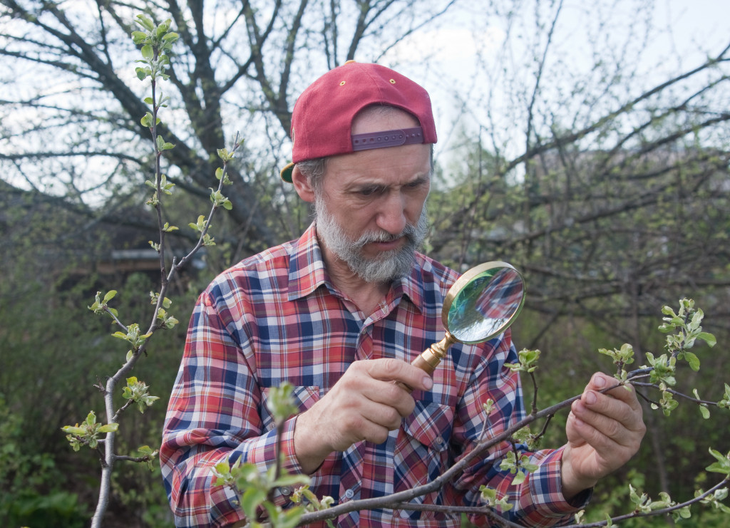 an elder man holding a magnifying glass while looking at plant specimen