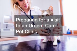 Preparing for a Visit to an Urgent Care Pet Clinic